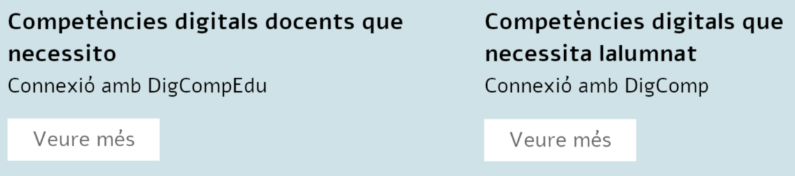 competències digitals