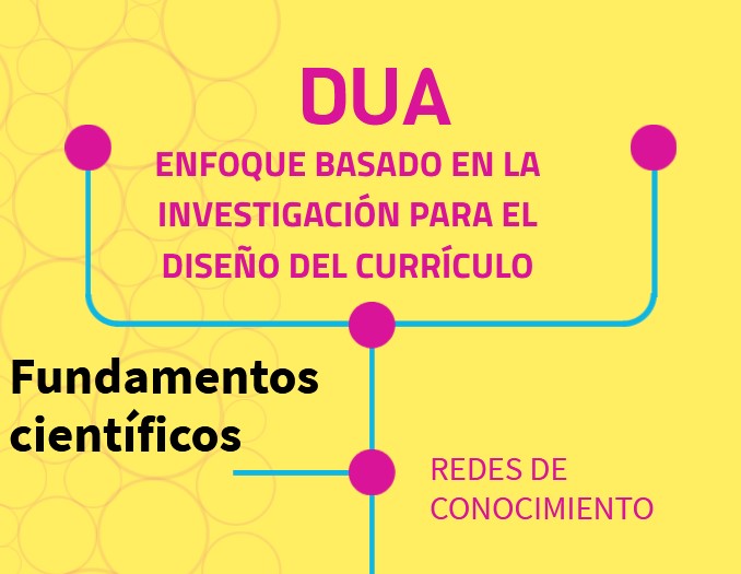 DUA: enfoque basado en la investigación para el diseño del currículo