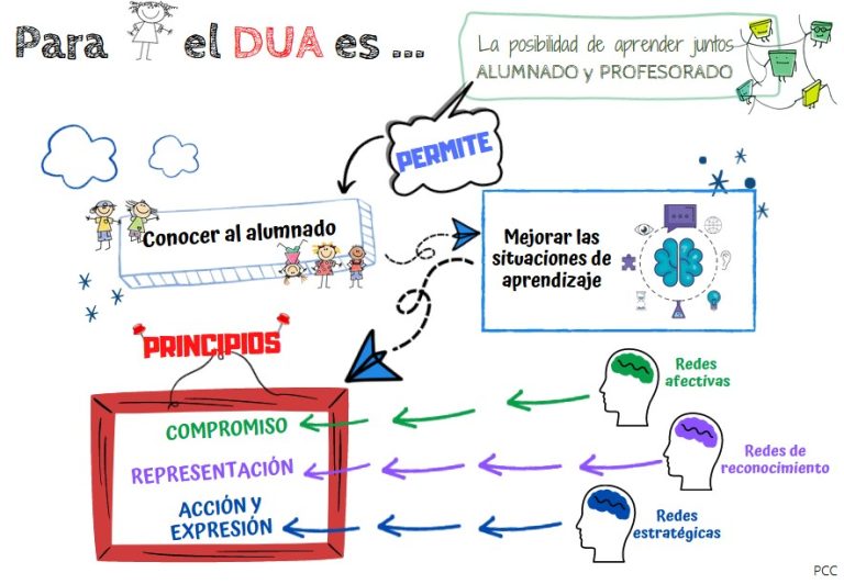 Qué es el DUA para Piedad Cañas #DUA_USTEA